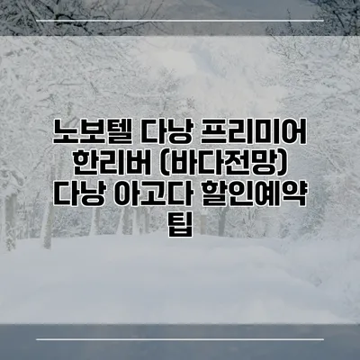 노보텔 다낭 프리미어 한리버 (바다전망) 다낭 아고다 할인예약 팁