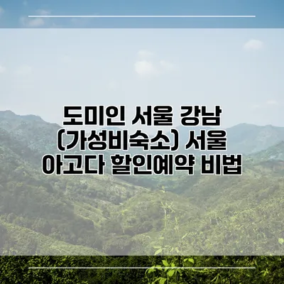 도미인 서울 강남 (가성비숙소) 서울 아고다 할인예약 비법