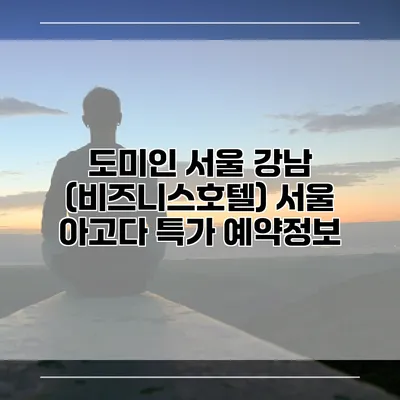 도미인 서울 강남 (비즈니스호텔) 서울 아고다 특가 예약정보