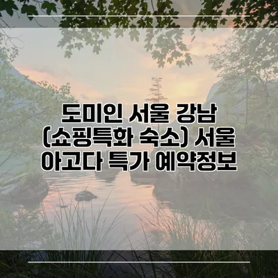 도미인 서울 강남 (쇼핑특화 숙소) 서울 아고다 특가 예약정보