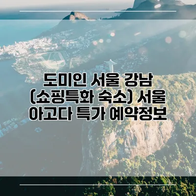 도미인 서울 강남 (쇼핑특화 숙소) 서울 아고다 특가 예약정보