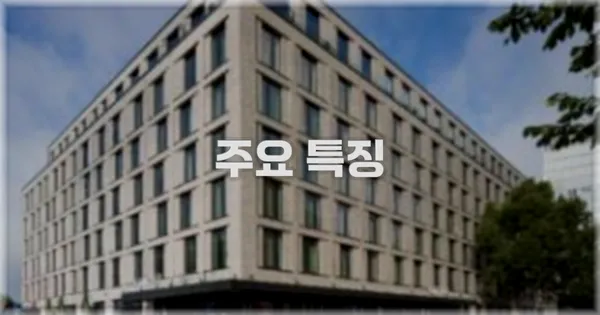 ✨ 주요 특징