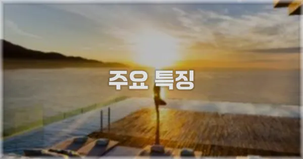 ✨ 주요 특징