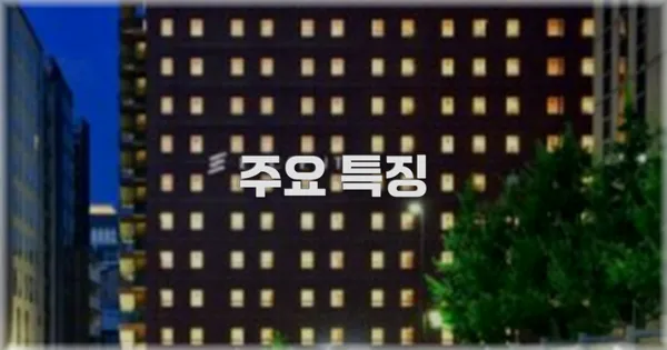 ✨ 주요 특징