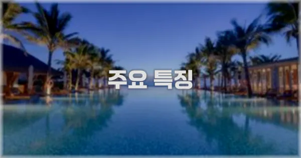 ✨ 주요 특징