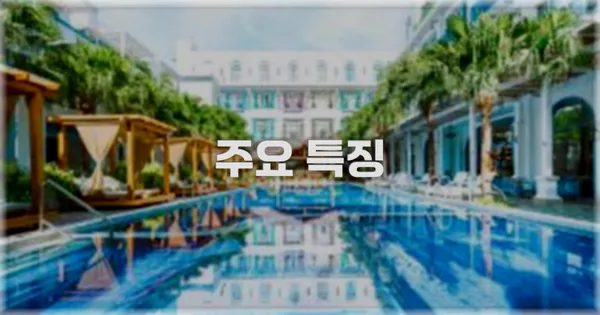 ✨ 주요 특징