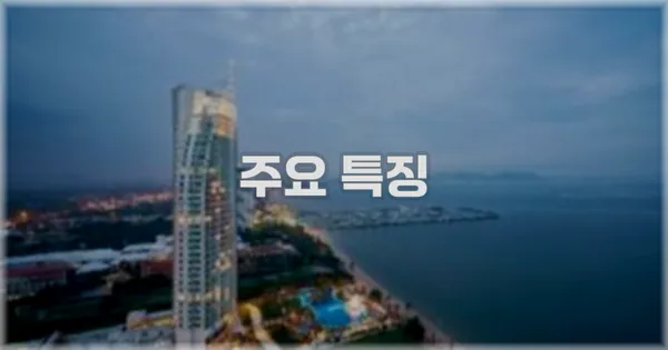 ✨ 주요 특징