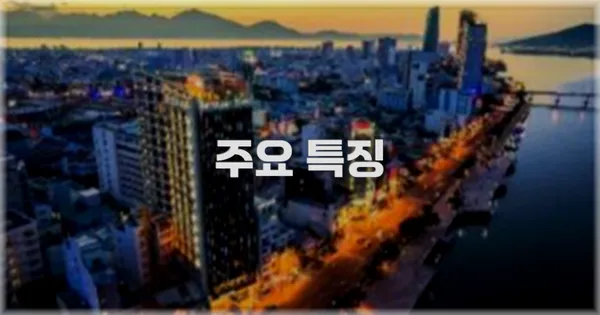 ✨ 주요 특징