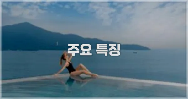 ✨ 주요 특징
