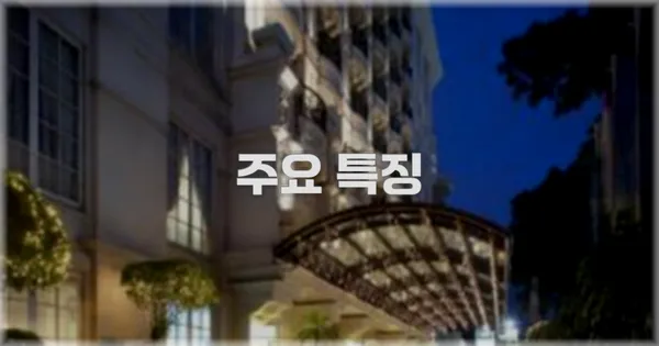 ✨ 주요 특징