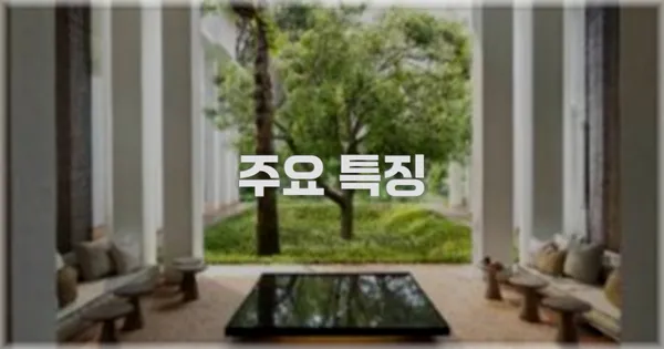 ✨ 주요 특징