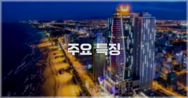 ✨ 주요 특징