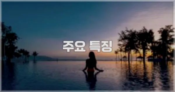 ✨ 주요 특징