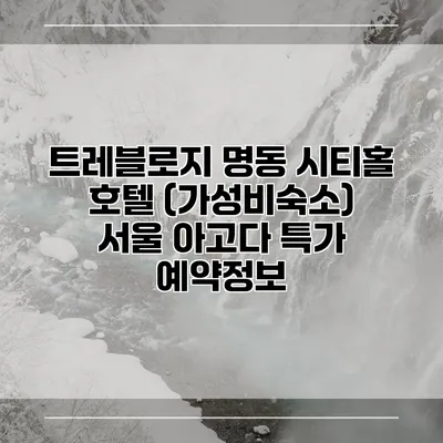 트레블로지 명동 시티홀 호텔 (가성비숙소) 서울 아고다 특가 예약정보