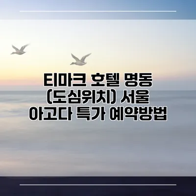 티마크 호텔 명동 (도심위치) 서울 아고다 특가 예약방법