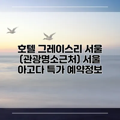 호텔 그레이스리 서울 (관광명소근처) 서울 아고다 특가 예약정보