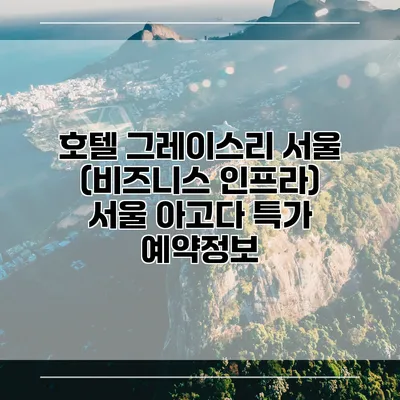 호텔 그레이스리 서울 (비즈니스 인프라) 서울 아고다 특가 예약정보