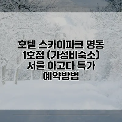 호텔 스카이파크 명동 1호점 (가성비숙소) 서울 아고다 특가 예약방법