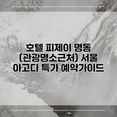 호텔 피제이 명동 (관광명소근처) 서울 아고다 특가 예약가이드