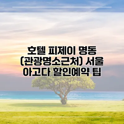 호텔 피제이 명동 (관광명소근처) 서울 아고다 할인예약 팁